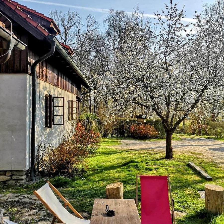 Apartmany Cerveny Dvur Chvalsiny Exterior photo